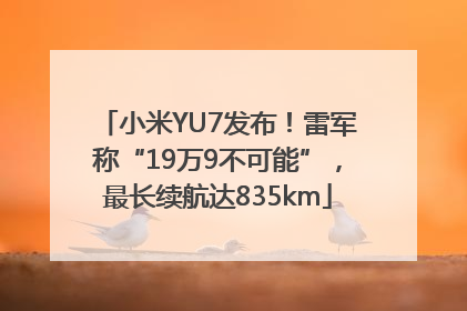 小米YU7发布！雷军称“19万9不可能”，最长续航达835km