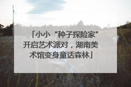 小小“种子探险家”开启艺术派对，湖南美术馆变身童话森林