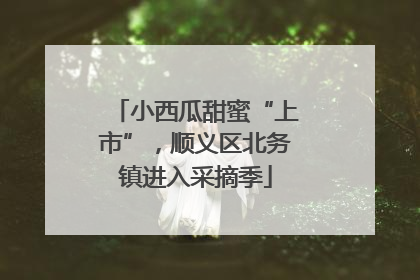 小西瓜甜蜜“上市”，顺义区北务镇进入采摘季