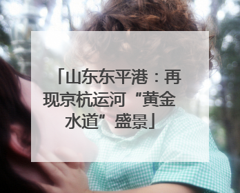山东东平港：再现京杭运河“黄金水道”盛景