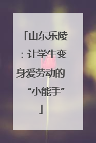 山东乐陵：让学生变身爱劳动的“小能手”