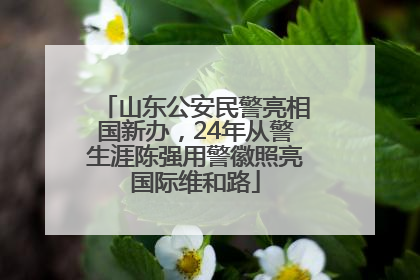 山东公安民警亮相国新办，24年从警生涯陈强用警徽照亮国际维和路