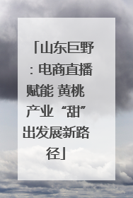 山东巨野：电商直播赋能 黄桃产业“甜”出发展新路径
