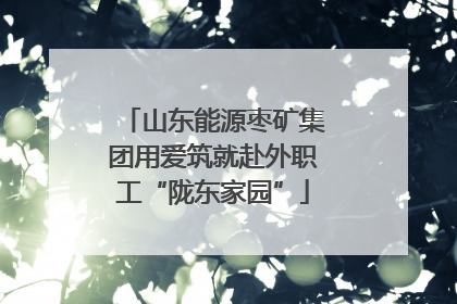 山东能源枣矿集团用爱筑就赴外职工“陇东家园”