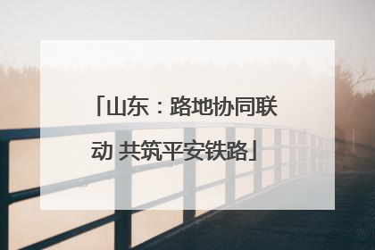 山东：路地协同联动 共筑平安铁路
