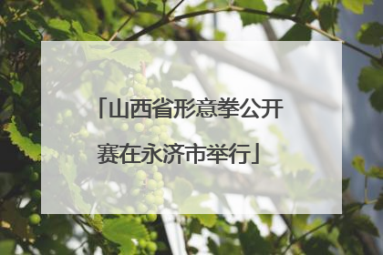 山西省形意拳公开赛在永济市举行