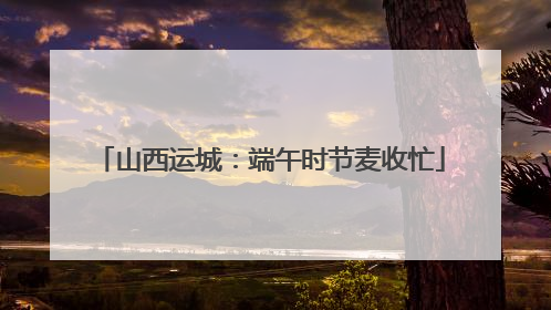 山西运城：端午时节麦收忙