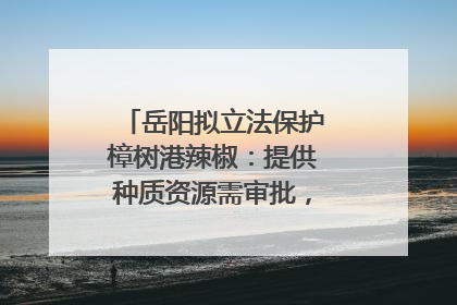 岳阳拟立法保护樟树港辣椒：提供种质资源需审批，违规最高罚5万