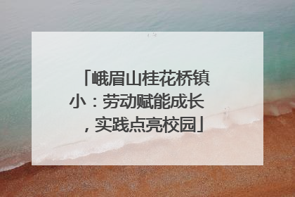 峨眉山桂花桥镇小：劳动赋能成长，实践点亮校园