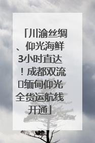 川渝丝绸、仰光海鲜3小时直达！成都双流⇌缅甸仰光全货运航线开通
