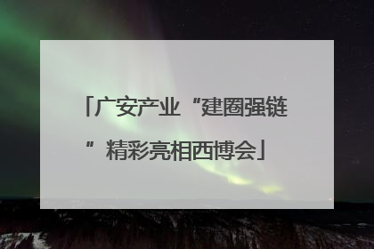广安产业“建圈强链”精彩亮相西博会