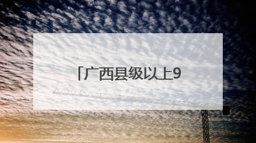 广西县级以上99.83%政务服务事项实现“最多跑一次”