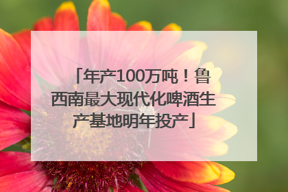 年产100万吨！鲁西南最大现代化啤酒生产基地明年投产