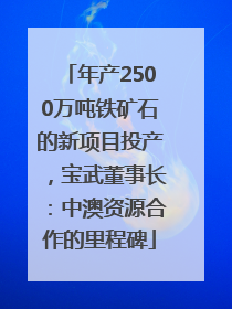 年产2500万吨铁矿石的新项目投产，宝武董事长：中澳资源合作的里程碑
