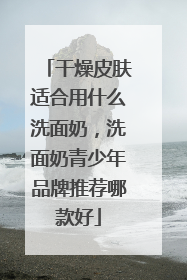 干燥皮肤适合用什么洗面奶，洗面奶青少年品牌推荐哪款好