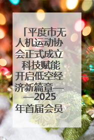 平度市无人机运动协会正式成立 科技赋能开启低空经济新篇章——2025年首届会员大会暨无人机应用发展论坛成功举办