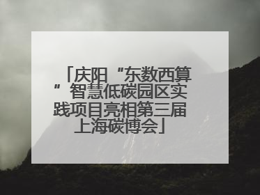 庆阳“东数西算”智慧低碳园区实践项目亮相第三届上海碳博会