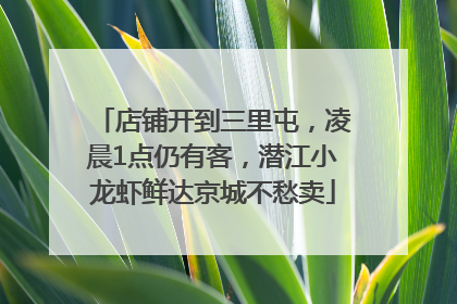 店铺开到三里屯，凌晨1点仍有客，潜江小龙虾鲜达京城不愁卖