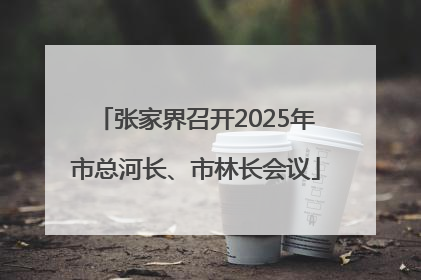 张家界召开2025年市总河长、市林长会议