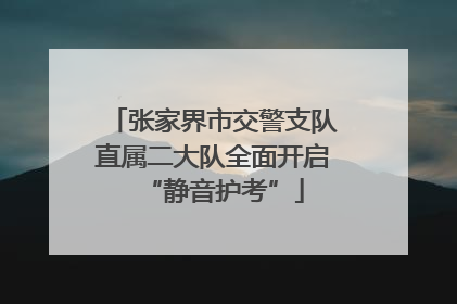 张家界市交警支队直属二大队全面开启“静音护考”