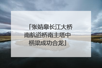 张靖皋长江大桥南航道桥南主塔中横梁成功合龙