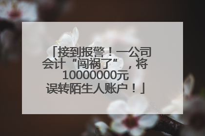接到报警！一公司会计“闯祸了”，将10000000元误转陌生人账户！