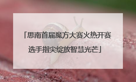 思南首届魔方大赛火热开赛 选手指尖绽放智慧光芒