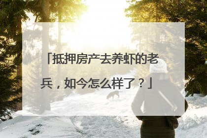 抵押房产去养虾的老兵，如今怎么样了？