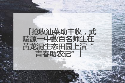 抢收油菜助丰收，武陵源一中数百名师生在黄龙洞生态田园上演“青春助农记”