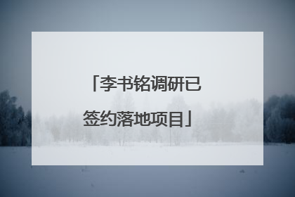 李书铭调研已签约落地项目