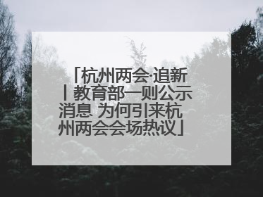 杭州两会·追新丨教育部一则公示消息 为何引来杭州两会会场热议