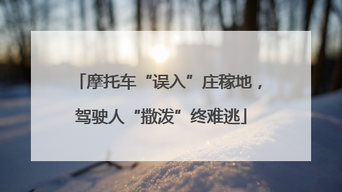 摩托车“误入”庄稼地，驾驶人“撒泼”终难逃