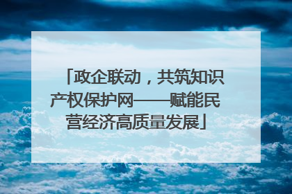 政企联动，共筑知识产权保护网——赋能民营经济高质量发展