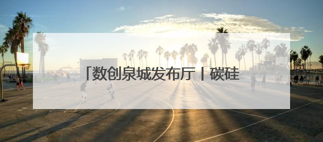数创泉城发布厅丨碳硅基智能融合——生命科学与人工智能的边界探索