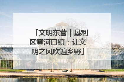 文明东营｜垦利区黄河口镇：让文明之风吹遍乡野