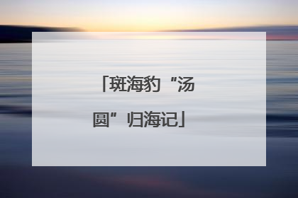 斑海豹“汤圆”归海记