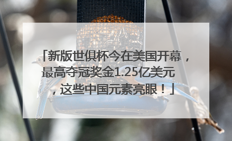 新版世俱杯今在美国开幕，最高夺冠奖金1.25亿美元，这些中国元素亮眼！