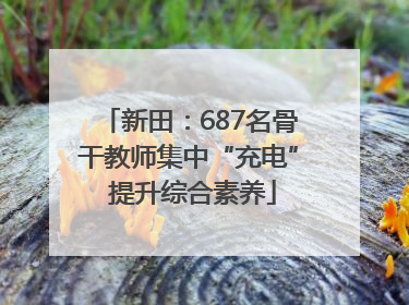 新田：687名骨干教师集中“充电” 提升综合素养