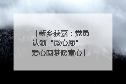 新乡获嘉：党员认领“微心愿” 爱心圆梦暖童心