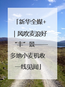 新华全媒+｜风吹麦浪好“丰”景——多地小麦机收一线见闻