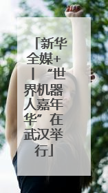 新华全媒+丨“世界机器人嘉年华”在武汉举行
