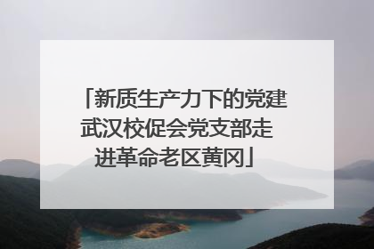 新质生产力下的党建 武汉校促会党支部走进革命老区黄冈
