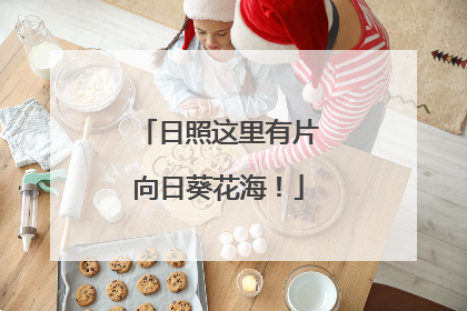 日照这里有片向日葵花海！