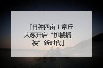 日种四亩！章丘大葱开启“机械插秧”新时代