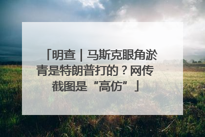 明查｜马斯克眼角淤青是特朗普打的？网传截图是“高仿”