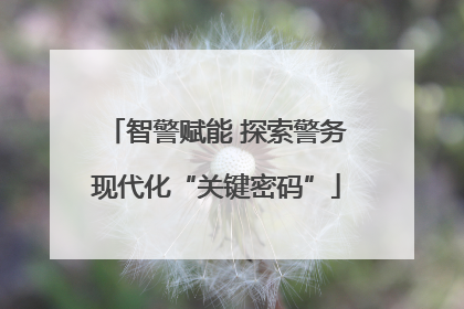 智警赋能 探索警务现代化“关键密码”