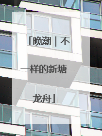 晚潮｜不一样的新塘龙舟