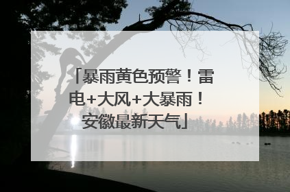 暴雨黄色预警！雷电+大风+大暴雨！安徽最新天气