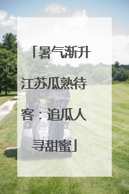 暑气渐升江苏瓜熟待客：追瓜人寻甜蜜
