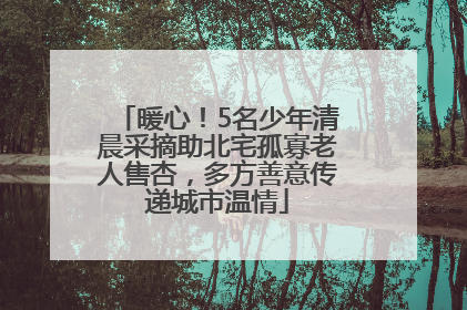 暖心！5名少年清晨采摘助北宅孤寡老人售杏，多方善意传递城市温情